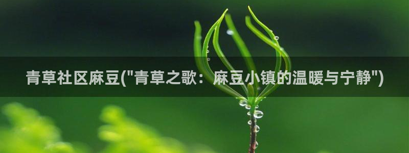 海角社区男主角:青草社区麻豆(\