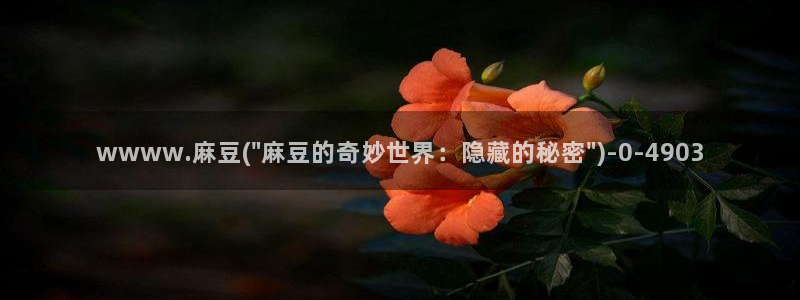 海角社区 国内:wwww.麻豆(\